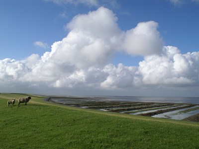 Ternaard waddenkustroute