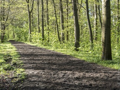 Pingo ruiter- en menroute Tytsjerk