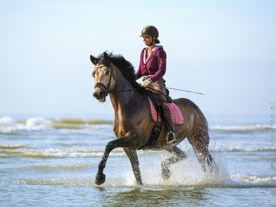 Zwemmen in 't Roegwold