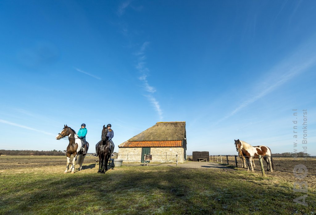 Texel duin- en strandrit 