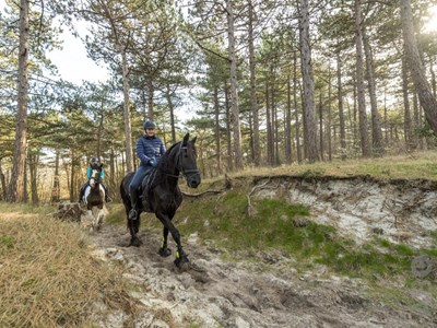 Noardlike Fryske Wâldenroute