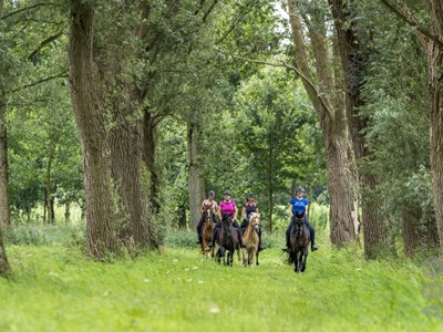 Valkenswaard Dommelaars route