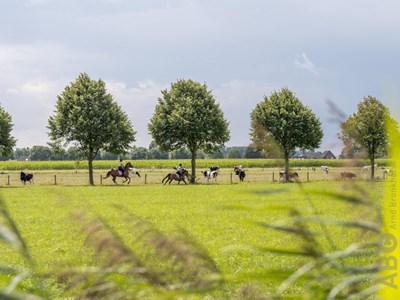 Trynwâlden ruiter- en menroute