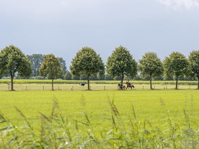 Meeden ruiterroute