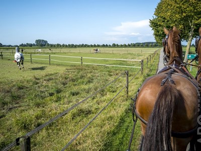 Harkema ruiter- en menroute