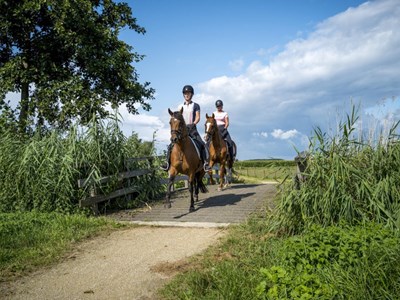 Blije ruiterroute