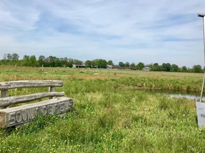 Luyksgestel Pielis ronde