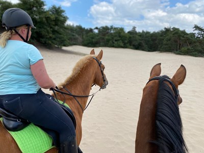 Loonse en Drunese duinen route