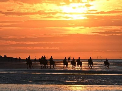 Strandrit Vrouwenpolder – 3 uur