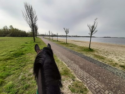 Westerwolde ruiterroute
