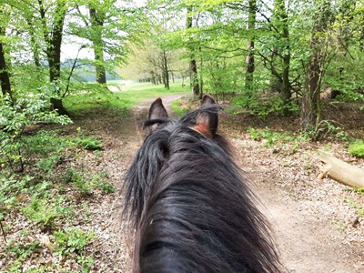 Puth-Windraak Route 23