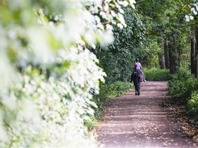 Leudal en Nederweert route