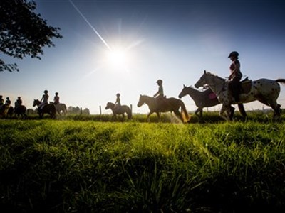 De Banen en Houtsberg Nederweert ruiterroute