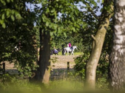 Weert - IJzeren Man route Oost
