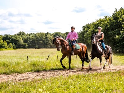 Oost-Maasgouw en Zuid Leudal route