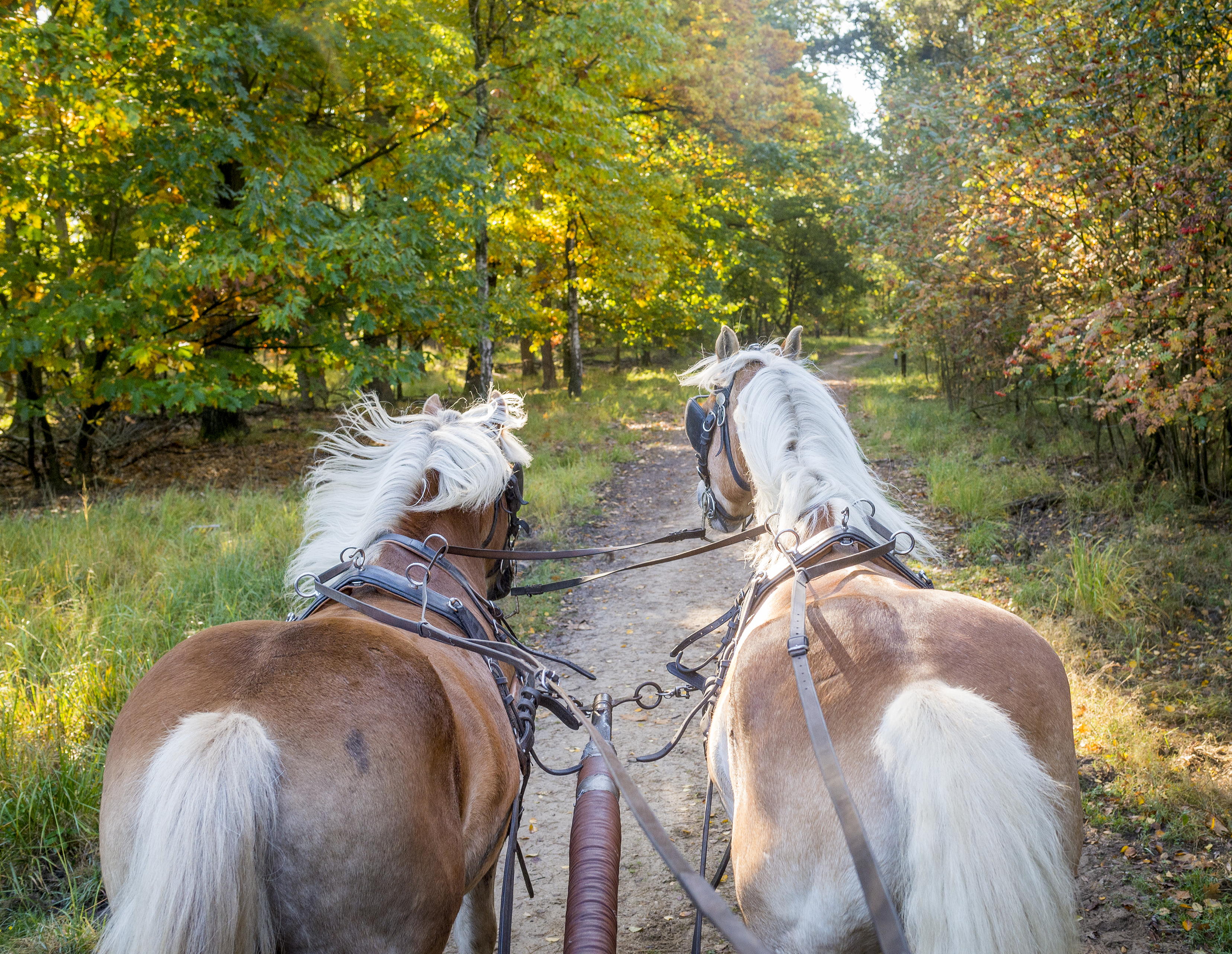 Groesbeek Menroute 