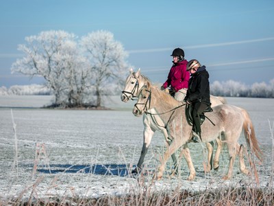 Nationaal Park De Meinweg