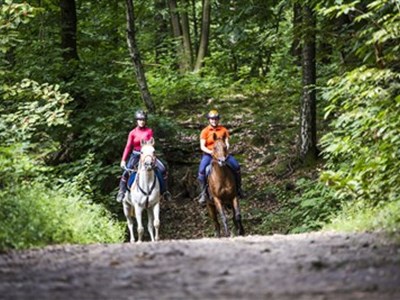 Weert - Weerterbergen route noord