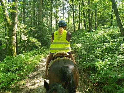 Heldense Bossen langs boerderijcamping Bovensbos