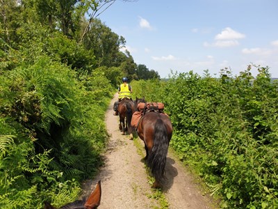 De Meinweg route Paardenpension Jägerhof