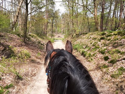 Regge ruiterroute
