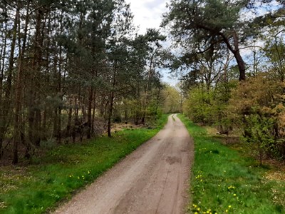 Landgoed Beerze route