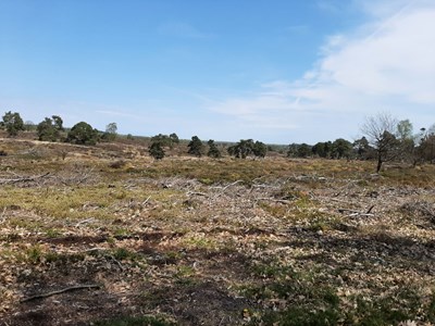 Haarlerberg ruiterroute
