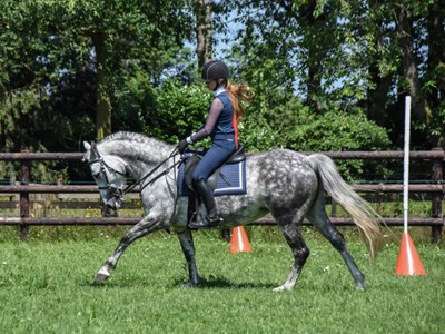  TWE Eersel, Bixie t/m Z masters