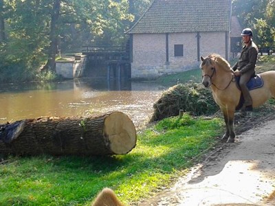Twickel Ruiterroute