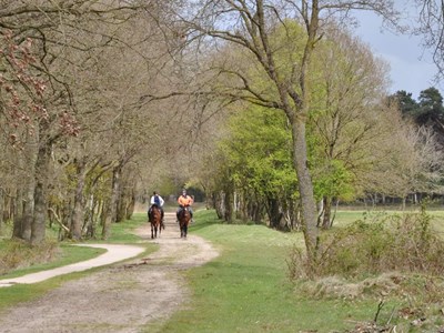 Natuurgebied de Borkeld ruiterroute