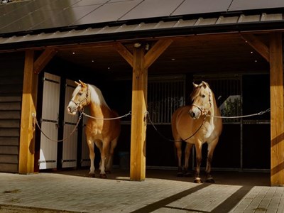 Paardenhotel Putten