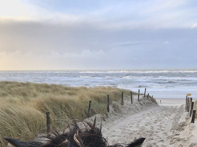 Buitenrit met IJslanders (bitloos) - 2 uur
