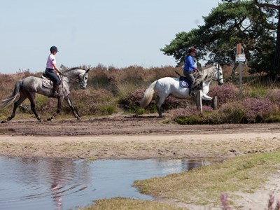 Leenderbos & Strabrechtse Heide route