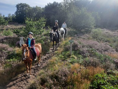 Bos- en heiderit de Regte Heide - 1 uur