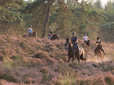 Korte route vanaf PMO in steenwijk