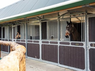 Horseback Holidays
