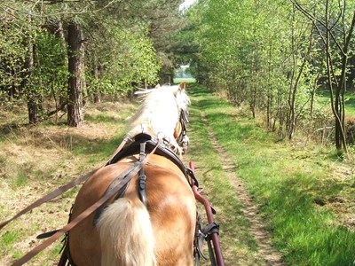 Smokkelaarsroute De Heibloem Hilvarenbeek