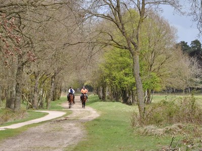 Manege Snorrewind