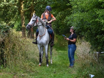 TREC Schaijk T0 t/m T4, Nederlands Kampioenschap TREC Schaijk T0 t/m T4, Nederlands Kampioenschap
