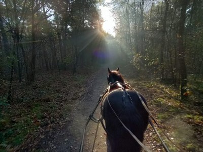 Ruiter- en menroute langs Boshuis Drie