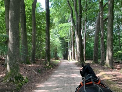 Ruiter- en menroute Nationaal Park de Veluwezoom