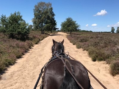 Caitwickerzand route op de Veluwe