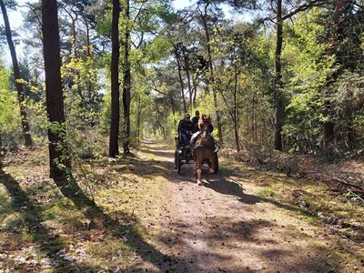 Smokkelroute dagtochten (meerdere data)