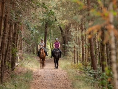 De Ermelose Paarden Tweedaagse De Ermelose Paarden Tweedaagse