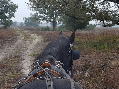 Enjoy the Ride Harsloruiters Enjoy the Ride Harsloruiters