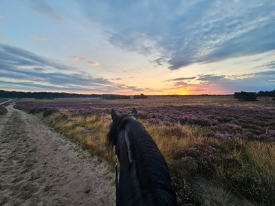 Ronde Strabrechtse heide