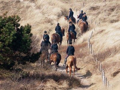 Castricum duinrit