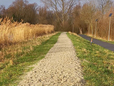 Rond de Zegerplas