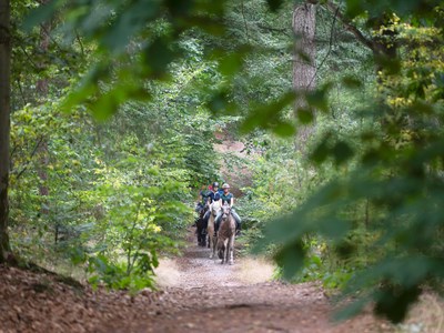 Ruiter- en menroute Boswachterij Ruinen Koekangerveld