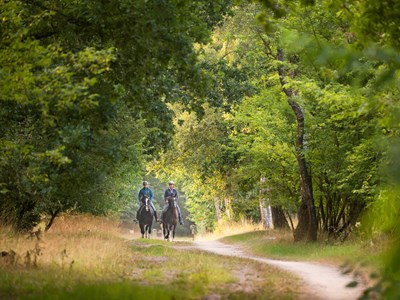 Ruiter- en menroute Gijsselterkoelen Boswachterij Ruinen